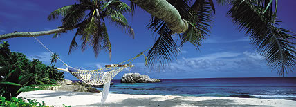 Hot Travel Deals and More