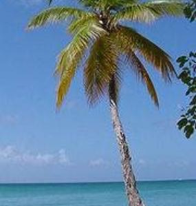 Travel to exotice places with your  home travel business