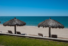 Sonoran Sun Resort Palapas on Sandy Beach